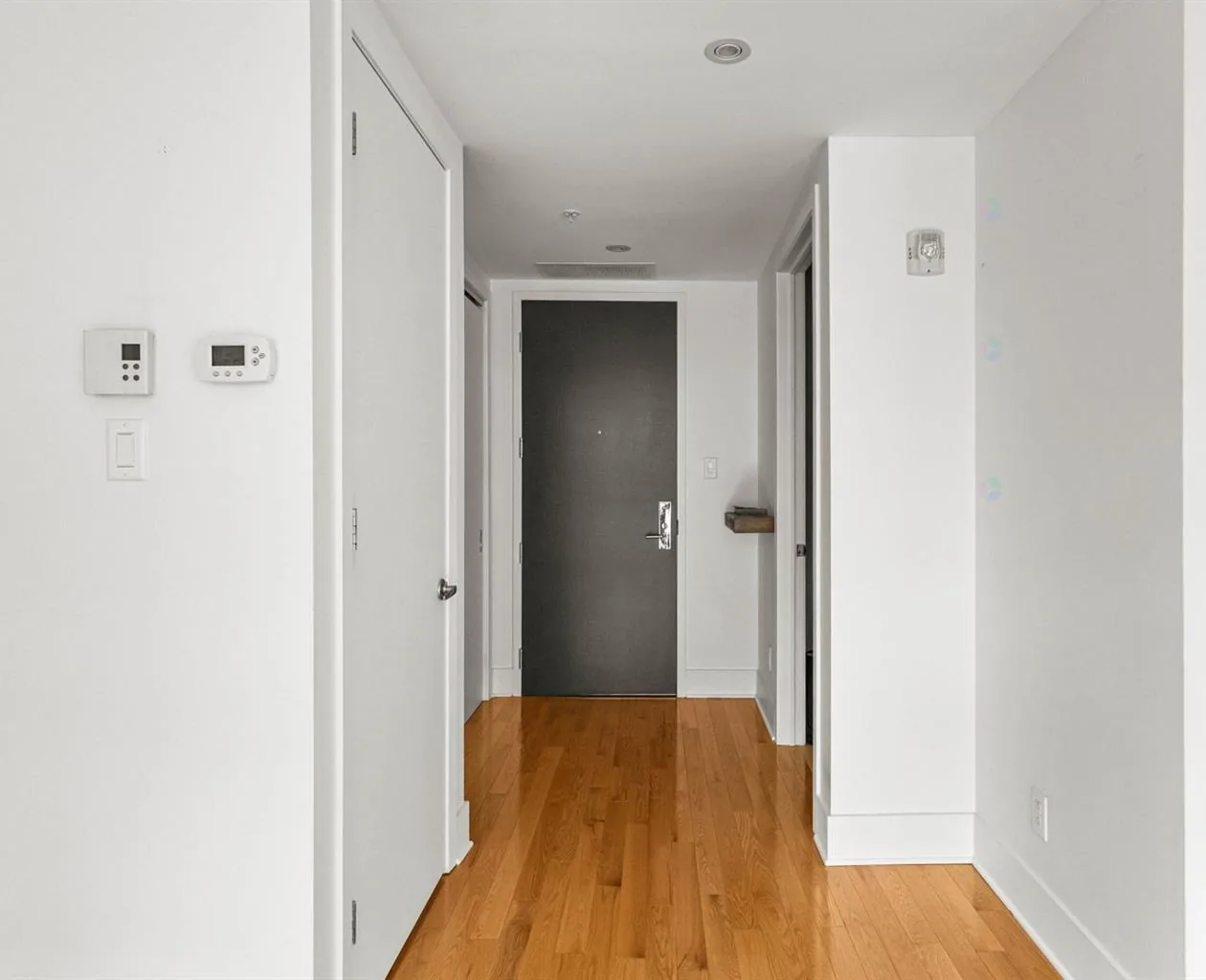 Le Solano, Old Montréal — 6