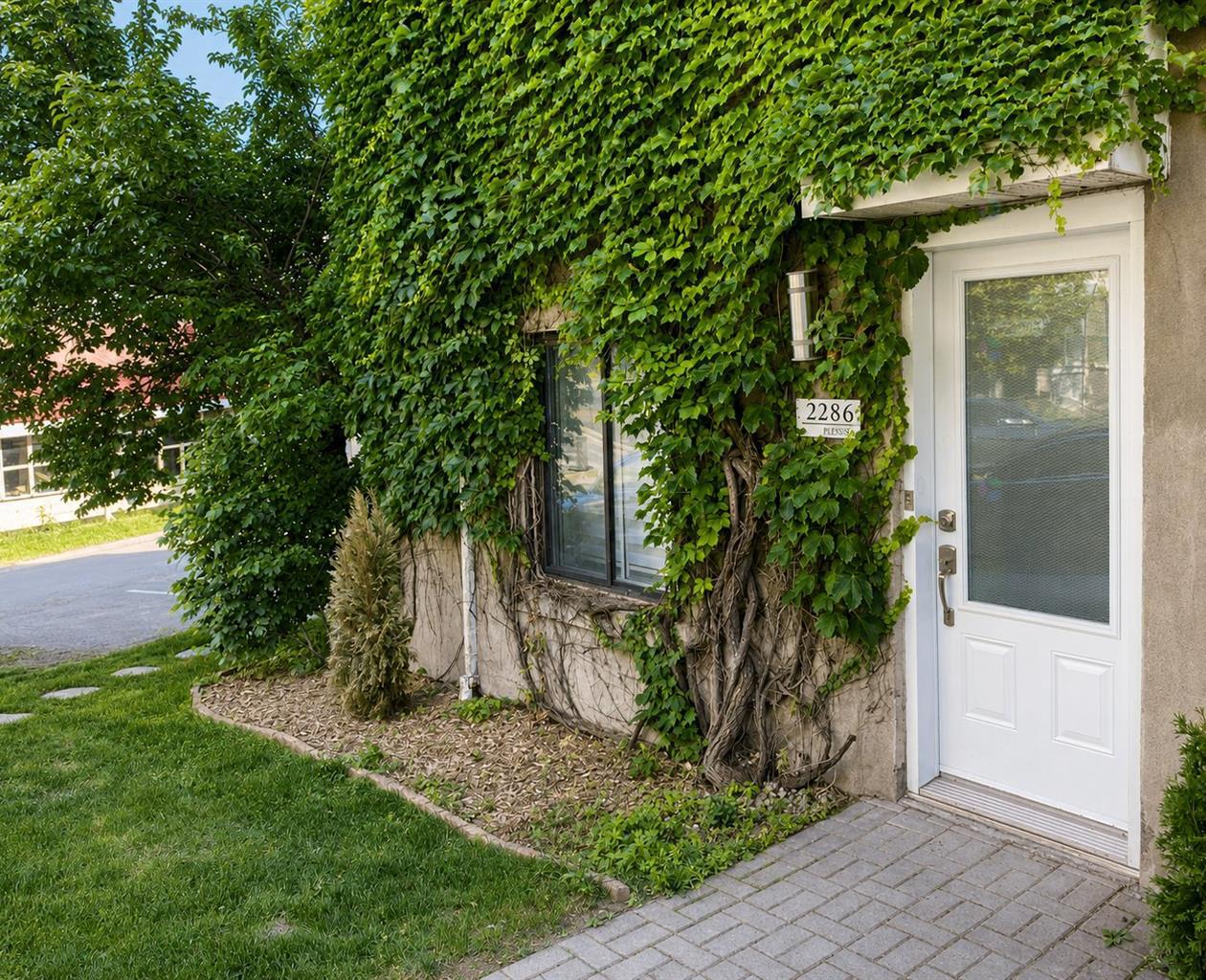 Leafy entrance to The Oasis on Rue Plessis in Ville-Marie, Montréal